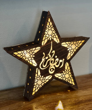 Shining decorative star