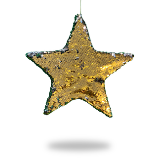 Sequin glitter star 